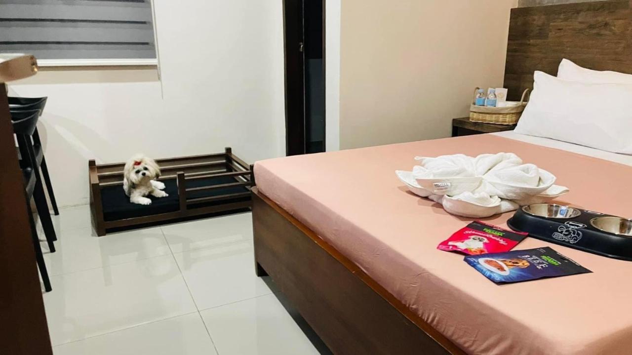 A&E Apartelle Bacolod Zewnętrze zdjęcie