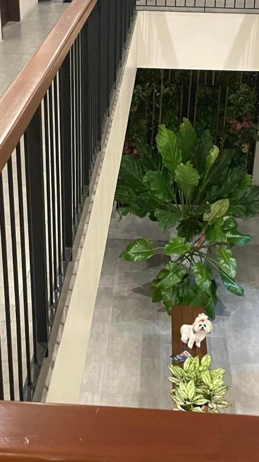 A&E Apartelle Bacolod Zewnętrze zdjęcie